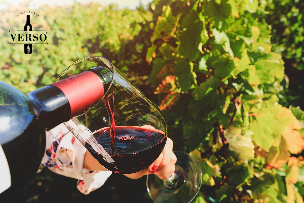 i vini prestigiosi francesi della Borgogna
